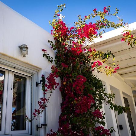 Villa Artemis Mykonos Town Εξωτερικό φωτογραφία