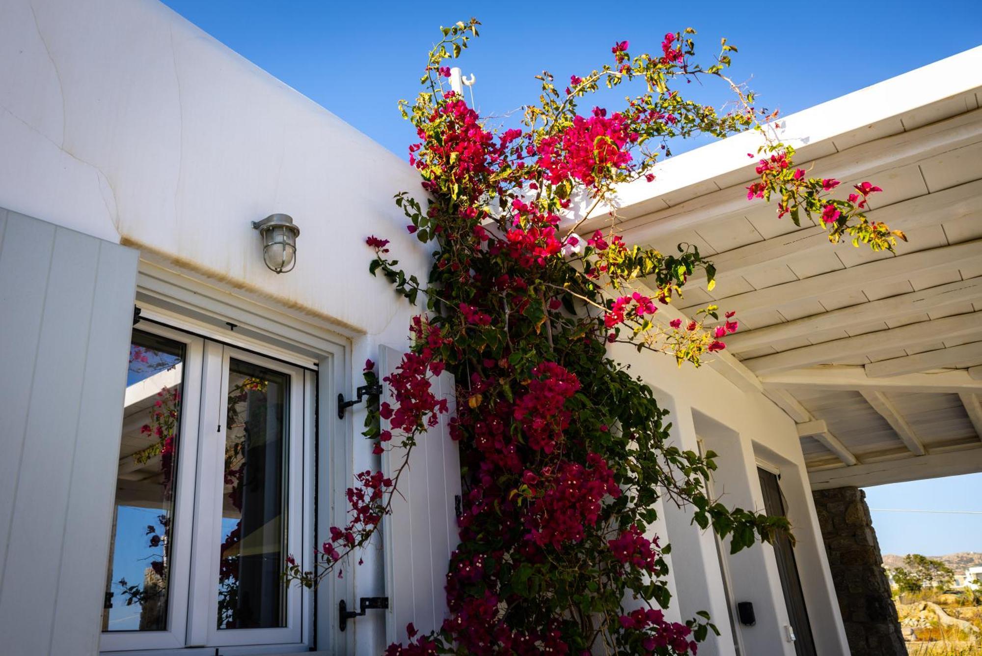 Villa Artemis Mykonos Town Εξωτερικό φωτογραφία